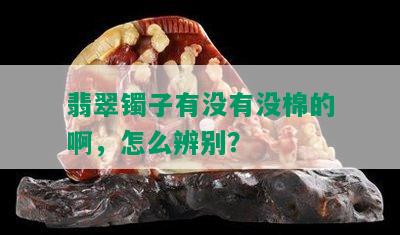 翡翠镯子有没有没棉的啊，怎么辨别？