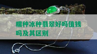 糯种冰种翡翠好吗值钱吗及其区别