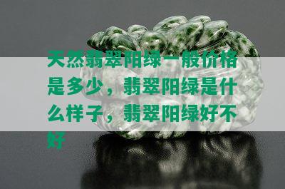 天然翡翠阳绿一般价格是多少，翡翠阳绿是什么样子，翡翠阳绿好不好