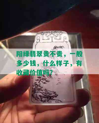 阳绿翡翠贵不贵，一般多少钱，什么样子，有收藏价值吗？