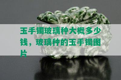 玉手镯玻璃种大概多少钱，玻璃种的玉手镯图片