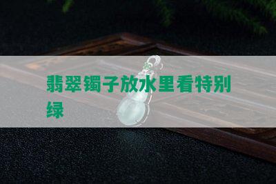 翡翠镯子放水里看特别绿