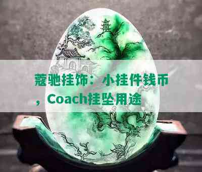 蔻驰挂饰：小挂件钱币，Coach挂坠用途