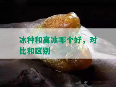 冰种和高冰哪个好，对比和区别