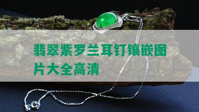 翡翠紫罗兰耳钉镶嵌图片大全高清