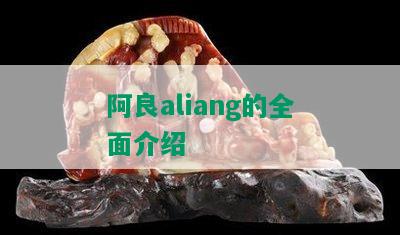 阿良aliang的全面介绍