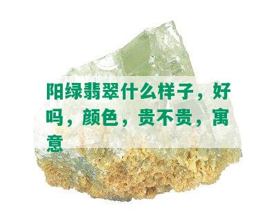 阳绿翡翠什么样子，好吗，颜色，贵不贵，寓意