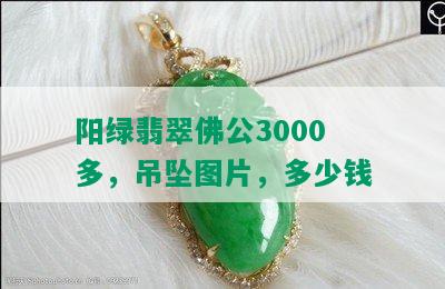 阳绿翡翠佛公3000多，吊坠图片，多少钱