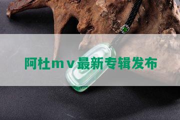 阿杜mⅴ最新专辑发布