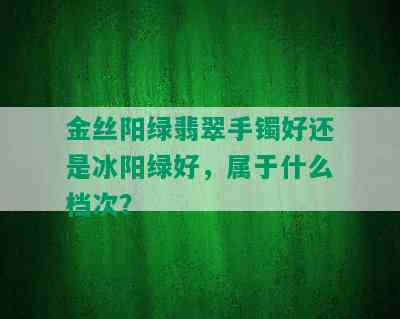 金丝阳绿翡翠手镯好还是冰阳绿好，属于什么档次？