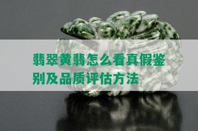 翡翠黄翡怎么看真假鉴别及品质评估方法