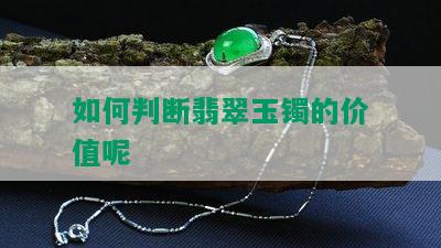 如何判断翡翠玉镯的价值呢