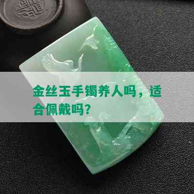 金丝玉手镯养人吗，适合佩戴吗？