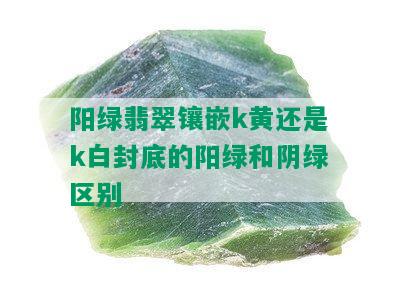 阳绿翡翠镶嵌k黄还是k白封底的阳绿和阴绿区别