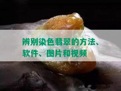 辨别染色翡翠的方法、软件、图片和视频