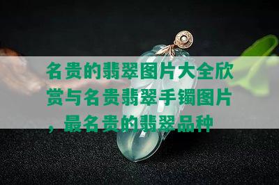 名贵的翡翠图片大全欣赏与名贵翡翠手镯图片，最名贵的翡翠品种