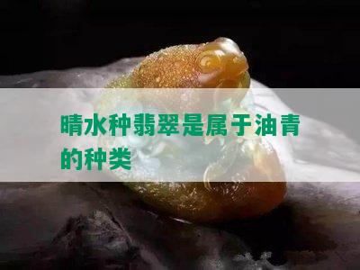 晴水种翡翠是属于油青的种类