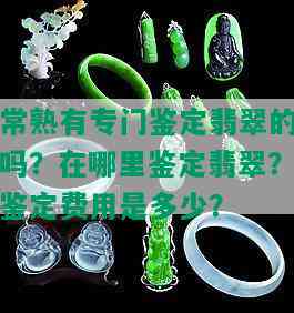 常熟有专门鉴定翡翠的吗？在哪里鉴定翡翠？鉴定费用是多少？