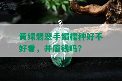 黄绿翡翠手镯糯种好不好看，并值钱吗？