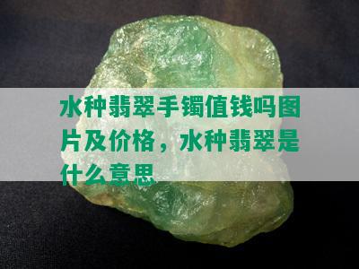 水种翡翠手镯值钱吗图片及价格，水种翡翠是什么意思