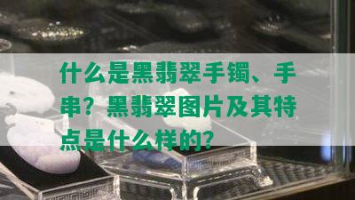 什么是黑翡翠手镯、手串？黑翡翠图片及其特点是什么样的？