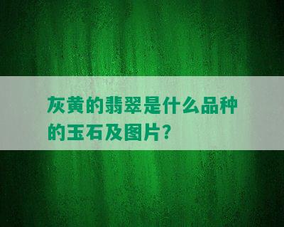 灰黄的翡翠是什么品种的玉石及图片？