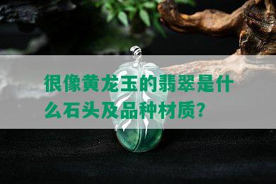 很像黄龙玉的翡翠是什么石头及品种材质？