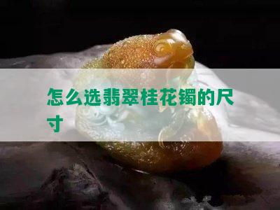 怎么选翡翠桂花镯的尺寸