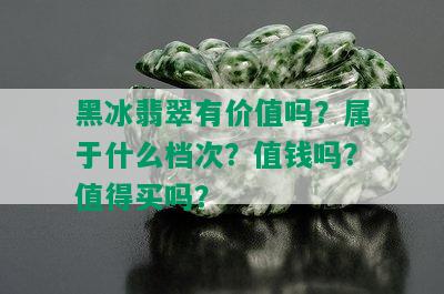 黑冰翡翠有价值吗？属于什么档次？值钱吗？值得买吗？