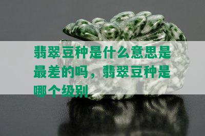 翡翠豆种是什么意思是最差的吗，翡翠豆种是哪个级别