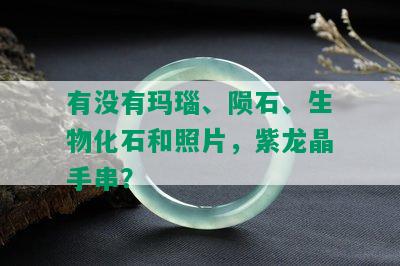 有没有玛瑙、陨石、生物化石和照片，紫龙晶手串？