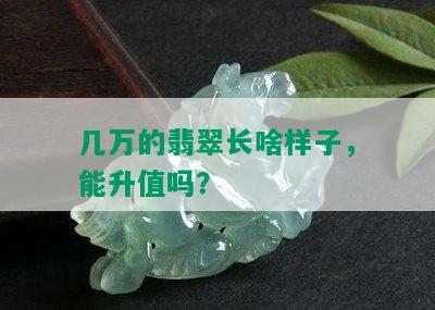 几万的翡翠长啥样子，能升值吗？