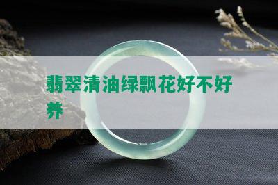 翡翠清油绿飘花好不好养