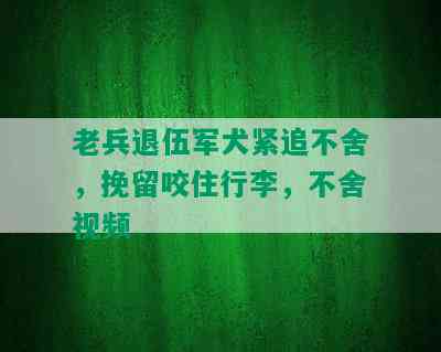 老兵退伍军犬紧追不舍，挽留咬住行李，不舍视频