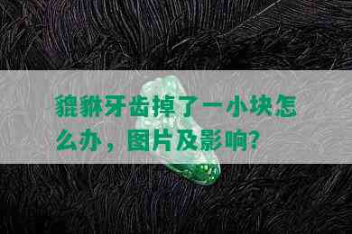 貔貅牙齿掉了一小块怎么办，图片及影响？