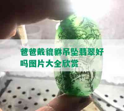 爸爸戴貔貅吊坠翡翠好吗图片大全欣赏