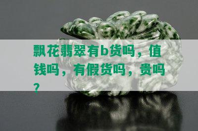 飘花翡翠有b货吗，值钱吗，有假货吗，贵吗？