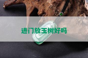 进门放玉树好吗