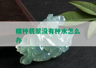 糯种翡翠没有种水怎么办