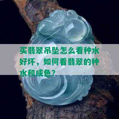 买翡翠吊坠怎么看种水好坏，如何看翡翠的种水和成色？