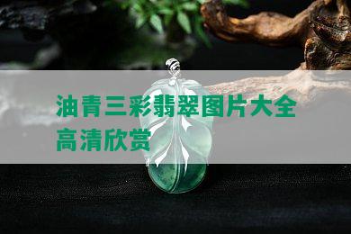 油青三彩翡翠图片大全高清欣赏