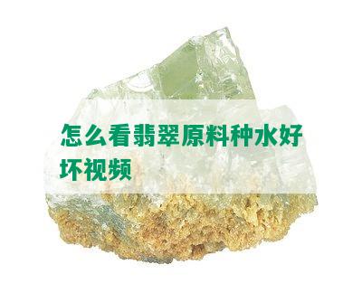 怎么看翡翠原料种水好坏视频