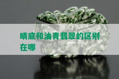 晴底和油青翡翠的区别在哪