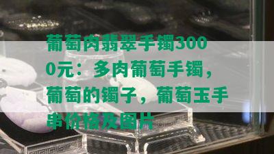 葡萄肉翡翠手镯3000元：多肉葡萄手镯，葡萄的镯子，葡萄玉手串价格及图片