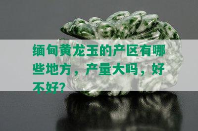 缅甸黄龙玉的产区有哪些地方，产量大吗，好不好？