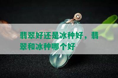 翡翠好还是冰种好，翡翠和冰种哪个好