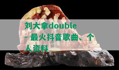 刘大拿double - 最火抖音歌曲、个人资料