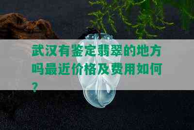 武汉有鉴定翡翠的地方吗最近价格及费用如何？