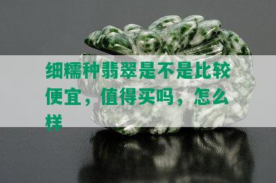 细糯种翡翠是不是比较便宜，值得买吗，怎么样