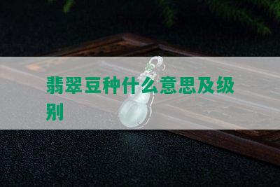 翡翠豆种什么意思及级别